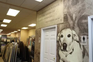 Showroom | Leicester Flooring