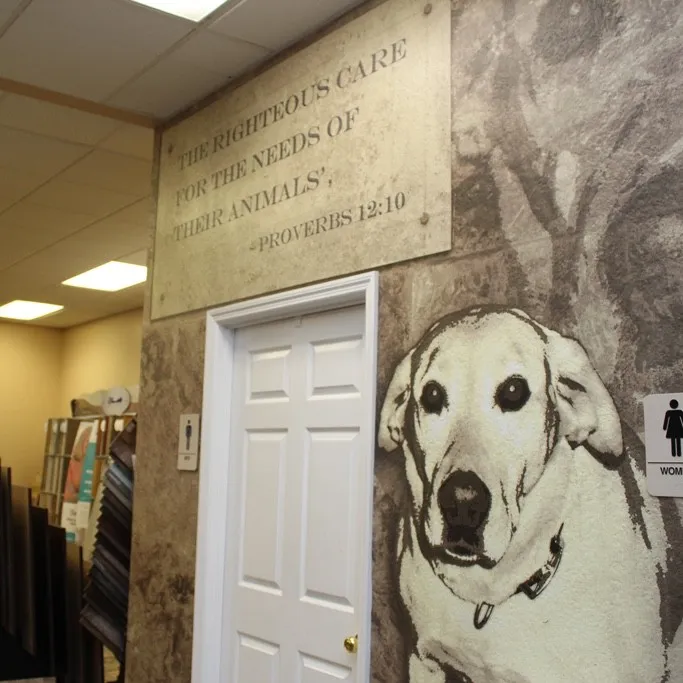 Pet | Leicester Flooring