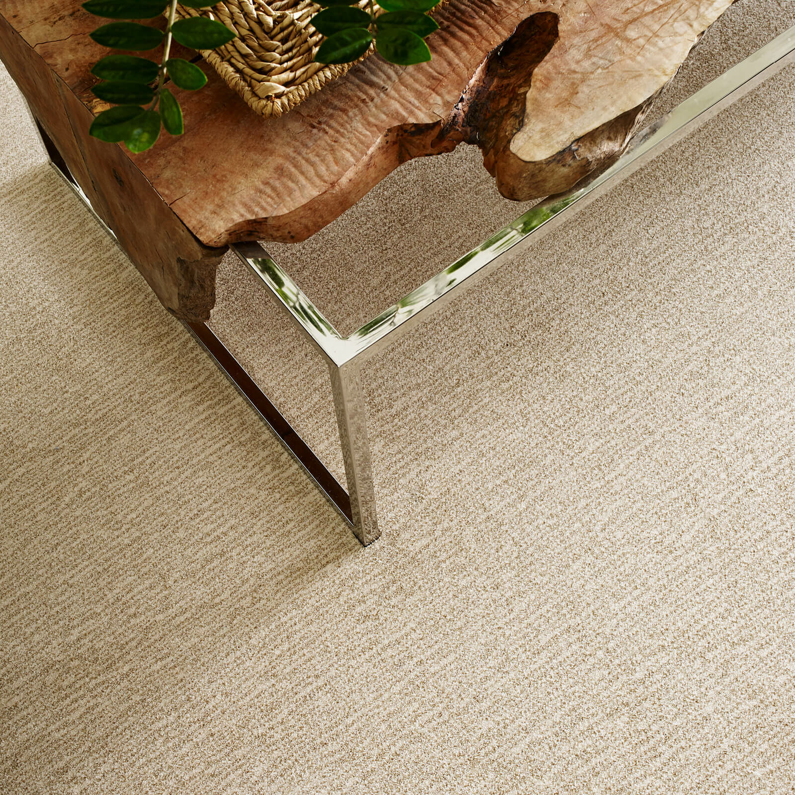 Luxurious Carpet Designs | Leicester Flooring